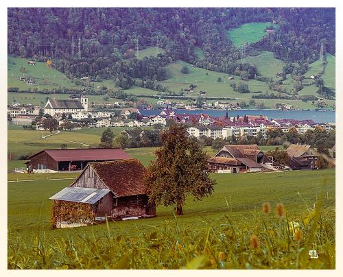 Arth-0424-Dorf vom Sonnenberg